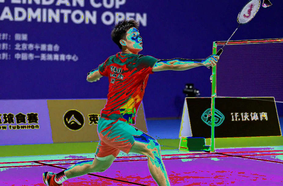 Aidil Sholeh vô địch Vietnam Open 2026: Khi hạt giống số 1 chỉ xếp hạng 33 thế giới