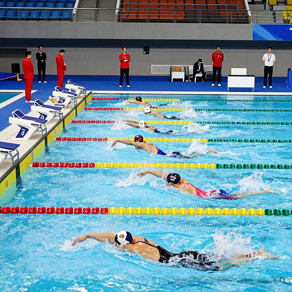 Đêm kỷ lục đường ngắn Nhật Bản 2026: Taniguchi 25,43 giây, Matsushita 3:54.33 và giới hạn của bể 25 mét