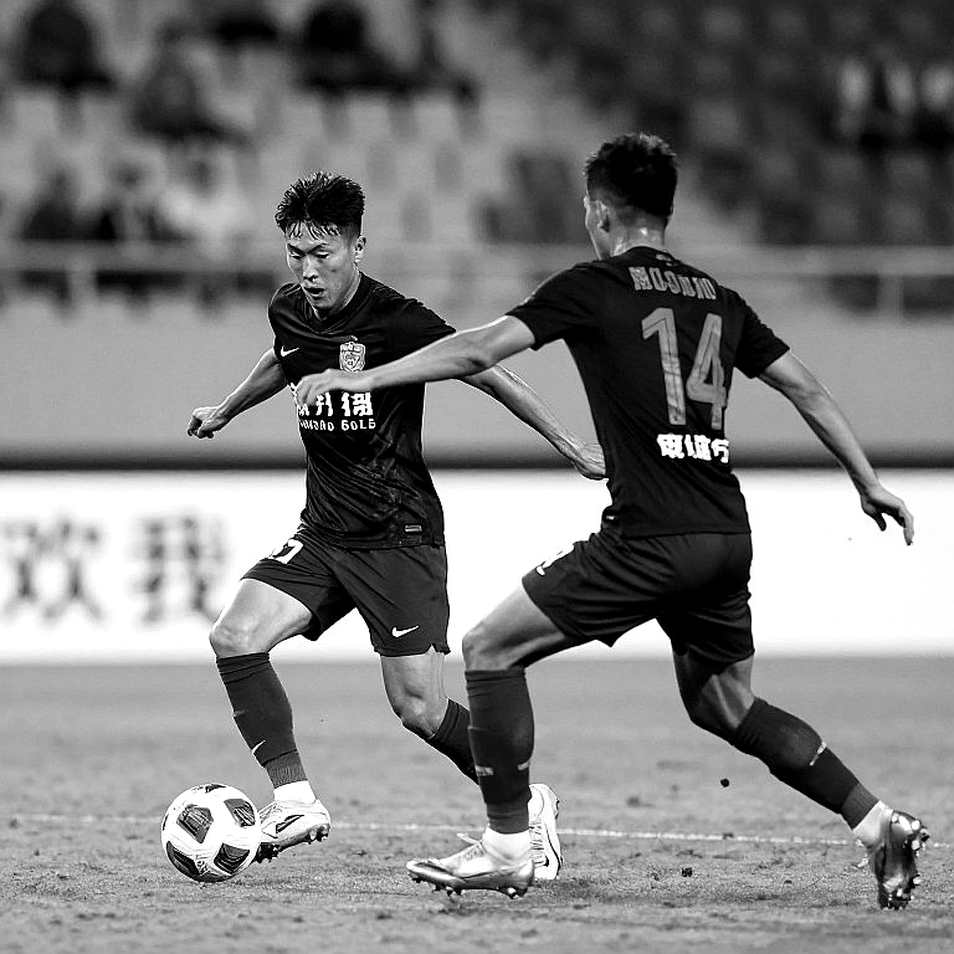 The Blank Dossier of V.League: When Every Data Cell Returns "No Information" The Blank Dossier of V.League: When Every Data Cell Returns "No Information"