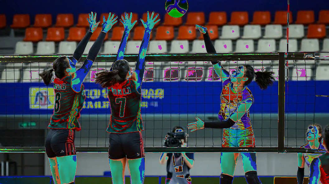 The Blank Dossier of V.League: When Every Data Cell Returns "No Information" The Blank Dossier of V.League: When Every Data Cell Returns "No Information"