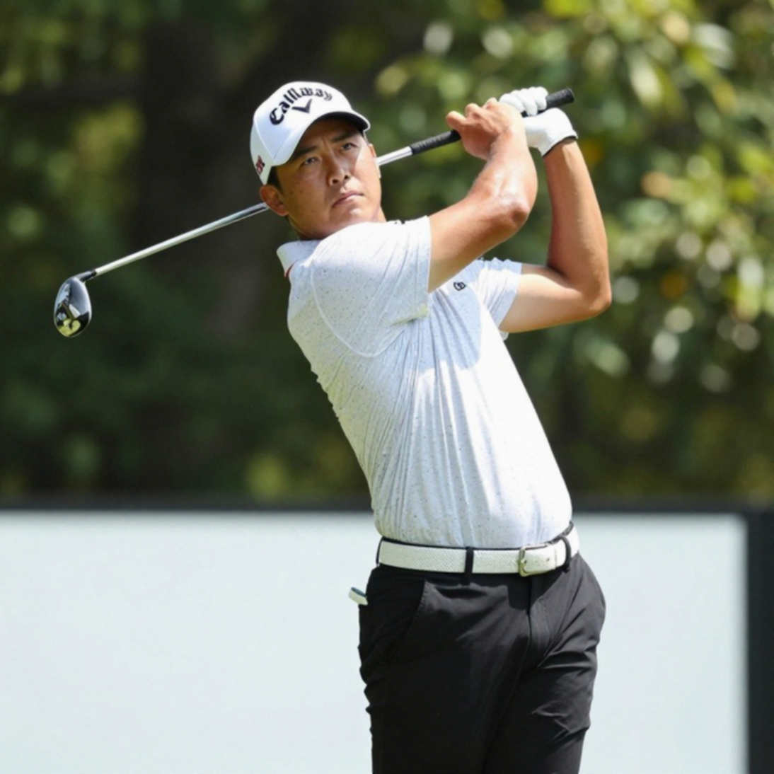 When Silence Speaks: Decoding the Pulse of the Golf Course Through the Lens of Korean Spectators