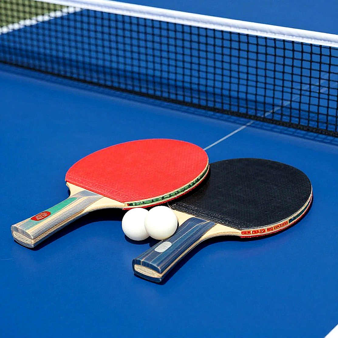 Inside the WTT Points Machine: When Young Players Pay With Their Bodies Inside the WTT Points Machine: When Young Players Pay With Their Bodies