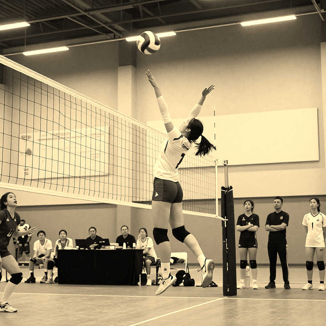 Ai Cập vô địch giải bóng chuyền nữ châu Phi, mở đường lịch sử cho Olympic 2028