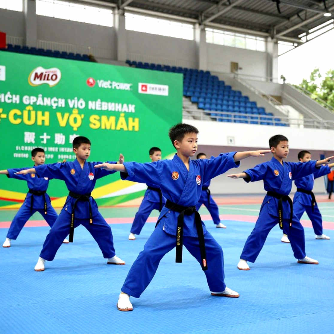Vietnam Poomsae in Chuncheon: Team Gold and an Unanswered Individual Question Vietnam Poomsae in Chuncheon: Team Gold and an Unanswered Individual Question