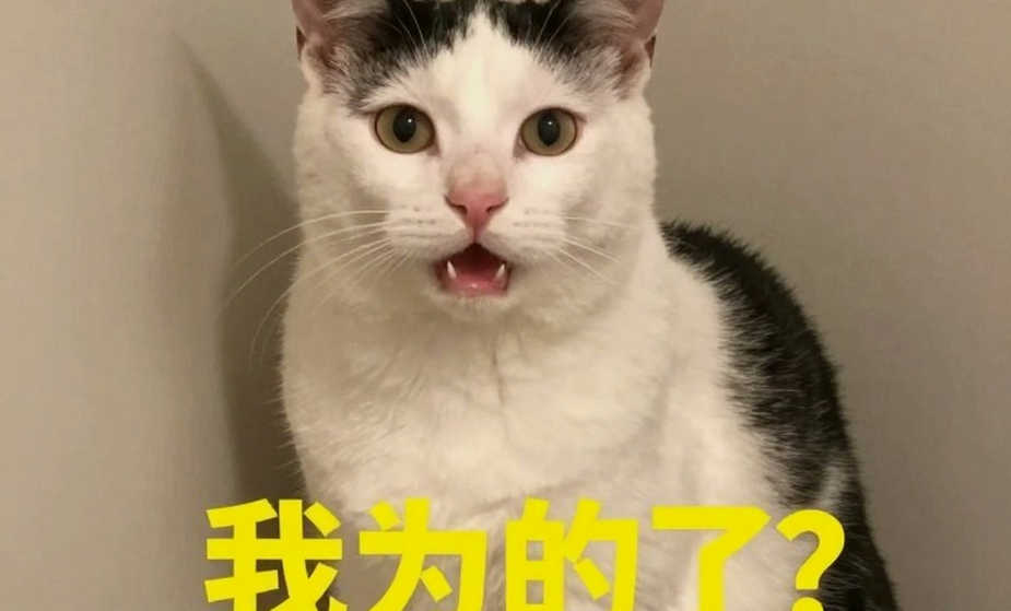 Cột trống trong bảng dữ liệu: kỷ luật đưa tin giữa tiếng ồn kỳ chuyển nhượng